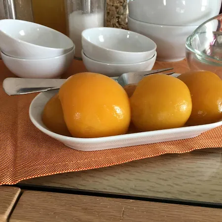 Daedalium 마리나 디 팔마