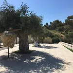 Daedalium Marina di Palma